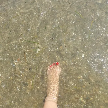 Appartamento Golden *