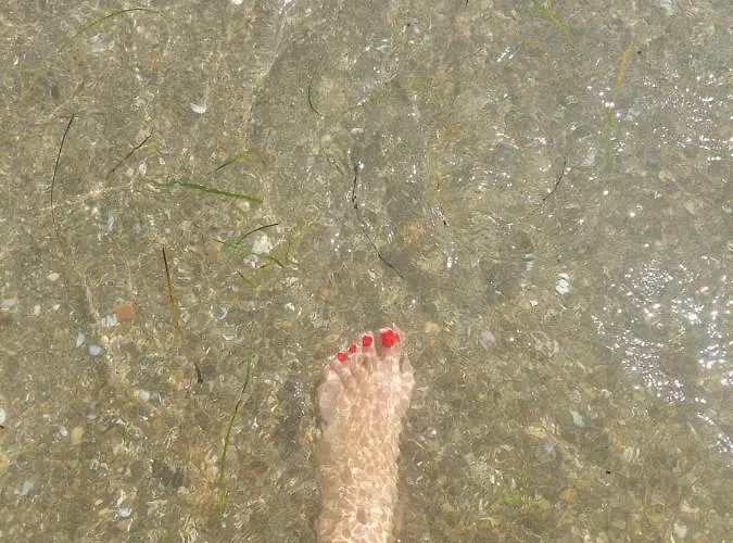 Appartement Golden *